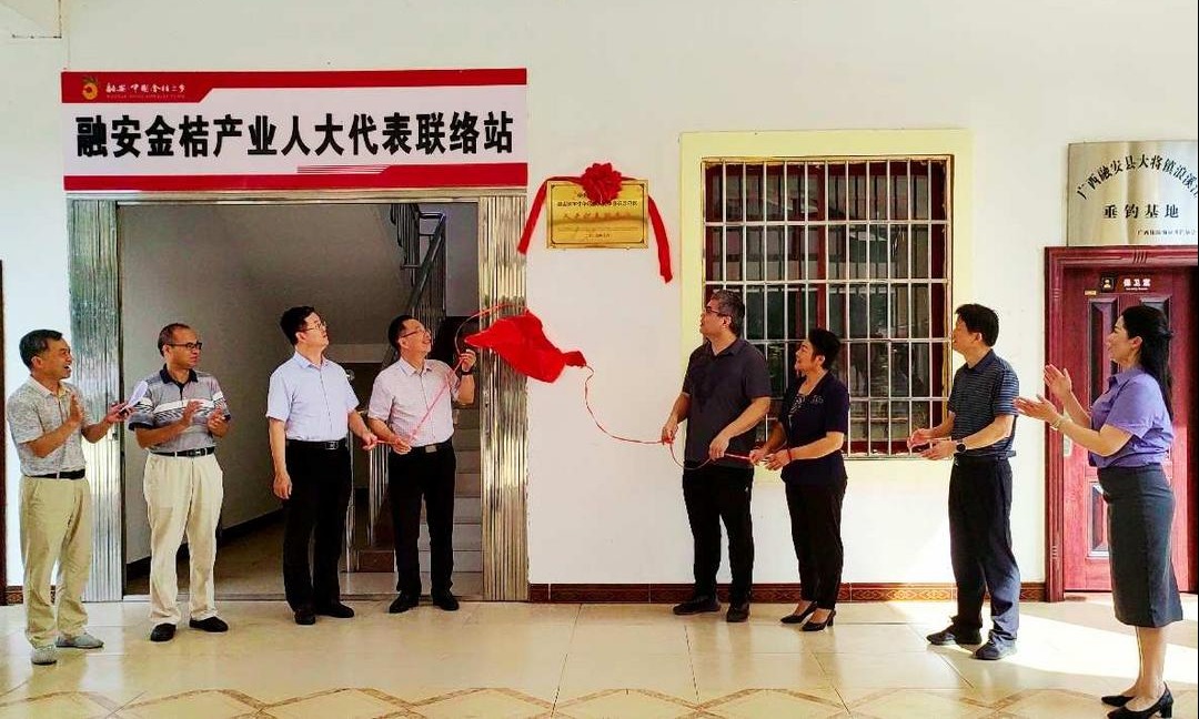 柳州：“金桔老家”首个铸牢中华民族共同体意识联络站成立