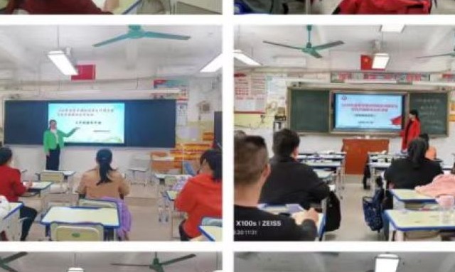 深析教材明方向  赋能课堂育新人