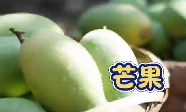 品味壮美红城  畅游千姿百色