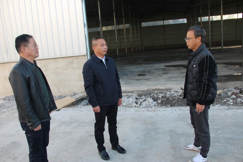 桂林叠彩区政协副主席严建忠督导重大项目进展情况