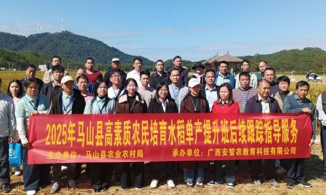 风吹稻浪满园香 ——参观广西马山县优质水稻种植基地记实